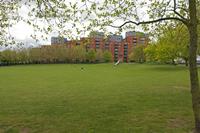 Cjp_2015_04_25_113848.jpg