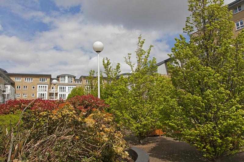 Cjp_2015_04_25_122734.jpg