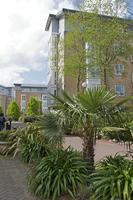 Cjp_2015_04_25_123002.jpg