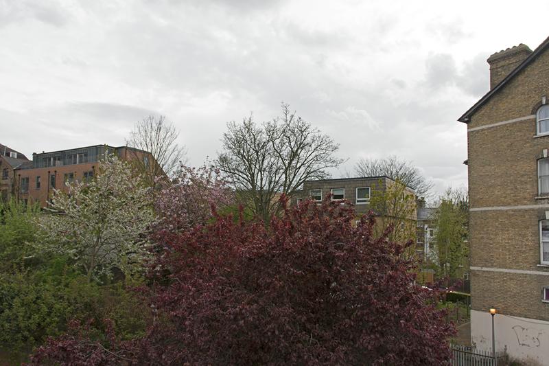 Cjp_2015_04_25_163118.jpg