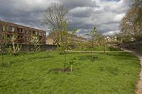 Cjp_2015_04_25_144318.jpg