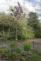 Cjp_2015_04_25_144536.jpg