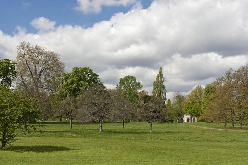 Cjp_2015_04_27_103816.jpg