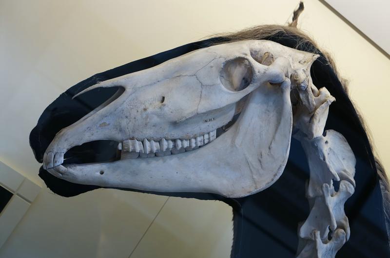 Cjp_2015_04_29_110205.jpg