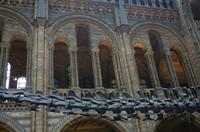 Cjp_2015_04_29_094859.jpg