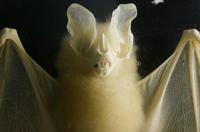 Cjp_2015_04_29_100523.jpg