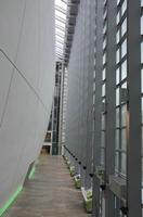 Cjp_2015_04_29_100859.jpg