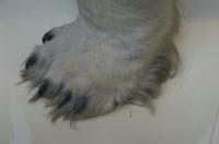 Cjp_2015_04_29_105347.jpg