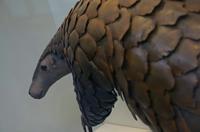 Cjp_2015_04_29_105850.jpg