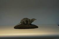 Cjp_2015_04_29_105913.jpg