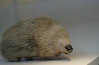 Cjp_2015_04_29_105930.jpg