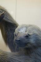 Cjp_2015_04_29_110056.jpg