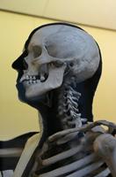 Cjp_2015_04_29_110159.jpg