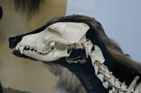 Cjp_2015_04_29_110221.jpg