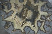 Cjp_2015_04_29_112915.jpg