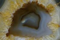 Cjp_2015_04_29_122537.jpg