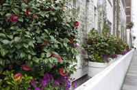 Cjp_2015_04_29_133745.jpg