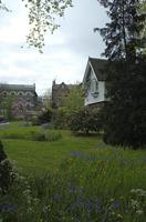 Cjp_2015_04_29_142954.jpg