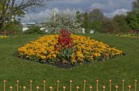 Cjp_2015_04_29_150028.jpg