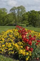 Cjp_2015_04_29_150118.jpg