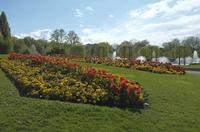 Cjp_2015_04_29_150217.jpg