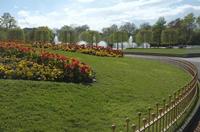 Cjp_2015_04_29_150235.jpg