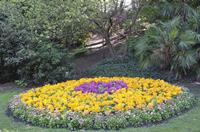 Cjp_2015_04_29_152532.jpg