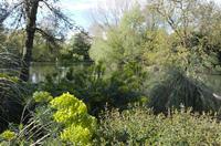 Cjp_2015_04_29_152809.jpg