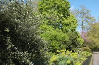 Cjp_2015_04_29_152859.jpg
