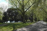 Cjp_2015_04_29_155458.jpg