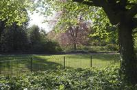 Cjp_2015_04_29_160739.jpg
