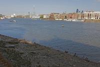 Cjp_2015_04_30_071508.jpg
