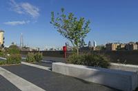 Cjp_2015_04_30_073304.jpg