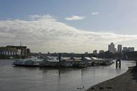 Cjp_2015_04_30_073928.jpg