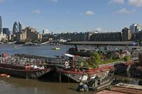Cjp_2015_04_30_075350.jpg