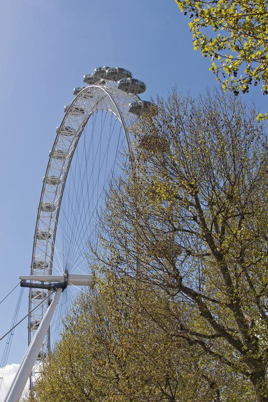 Cjp_2015_04_30_112654.jpg