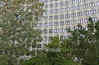 Cjp_2015_05_01_071012.jpg