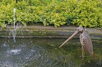 Cjp_2015_05_01_073008.jpg