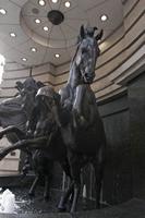 Cjp_2015_05_01_081036.jpg