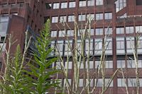 Cjp_2015_05_01_084016.jpg