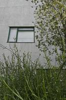 Cjp_2015_05_01_084230.jpg