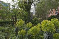Cjp_2015_05_01_084308.jpg