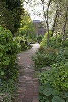 Cjp_2015_05_01_084334.jpg