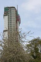 Cjp_2015_05_01_084746.jpg