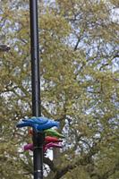 Cjp_2015_05_01_085932.jpg