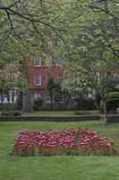 Cjp_2015_05_01_111356.jpg