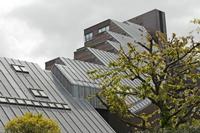 Cjp_2015_05_01_113026.jpg
