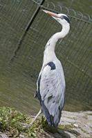 Cjp_2015_05_01_133328.jpg