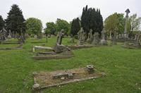 Cjp_2015_05_02_084336.jpg
