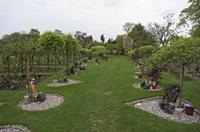 Cjp_2015_05_02_084942.jpg